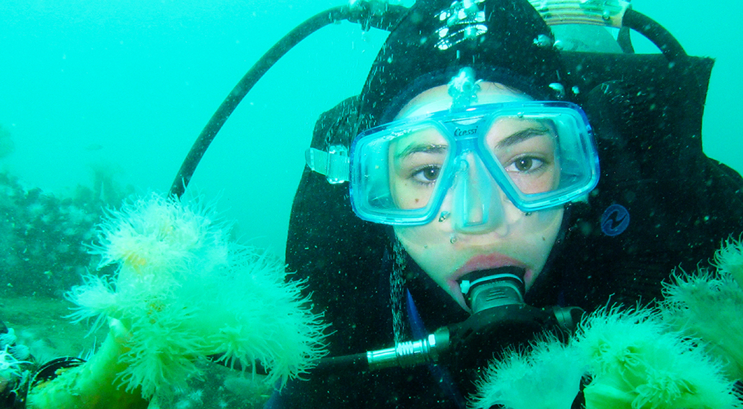 SeaPro Divers, Puerto Plata